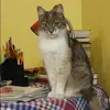 Отзыв от Альбина Муратова